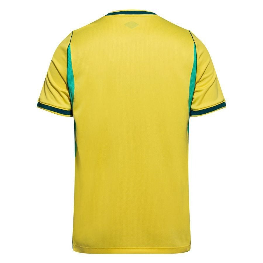 Maillot Brésil 2026