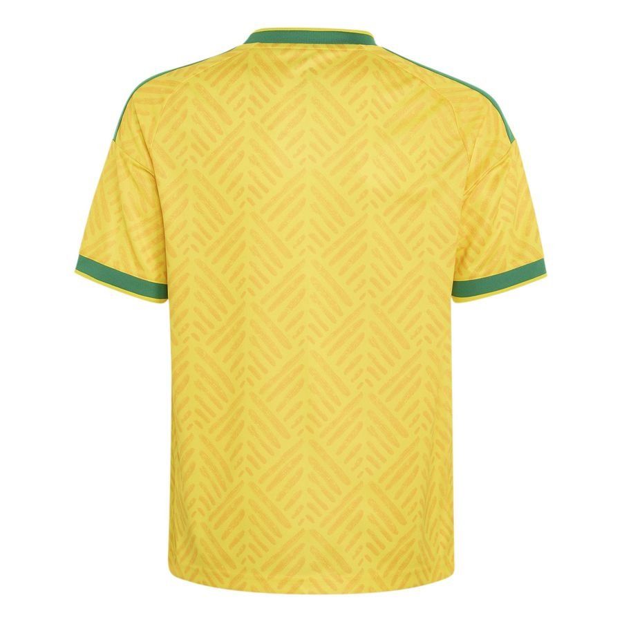 Maillot Afrique du Sud 2026